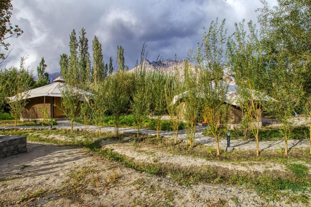 Chalet Seabuckthorn - Hunder Hundar Esterno foto