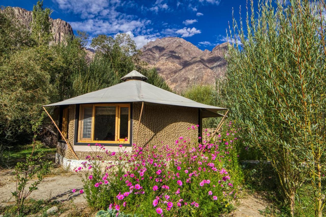 Chalet Seabuckthorn - Hunder Hundar Esterno foto